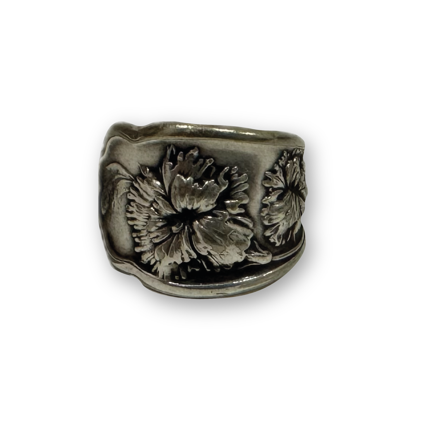 ÁGUILA CONNECTICUT